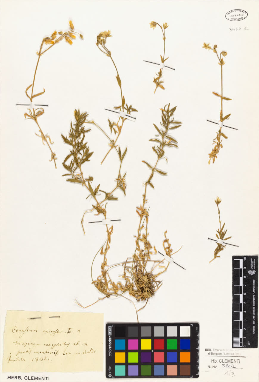 SW_BNB_s3010-01426_IMG-0000000001