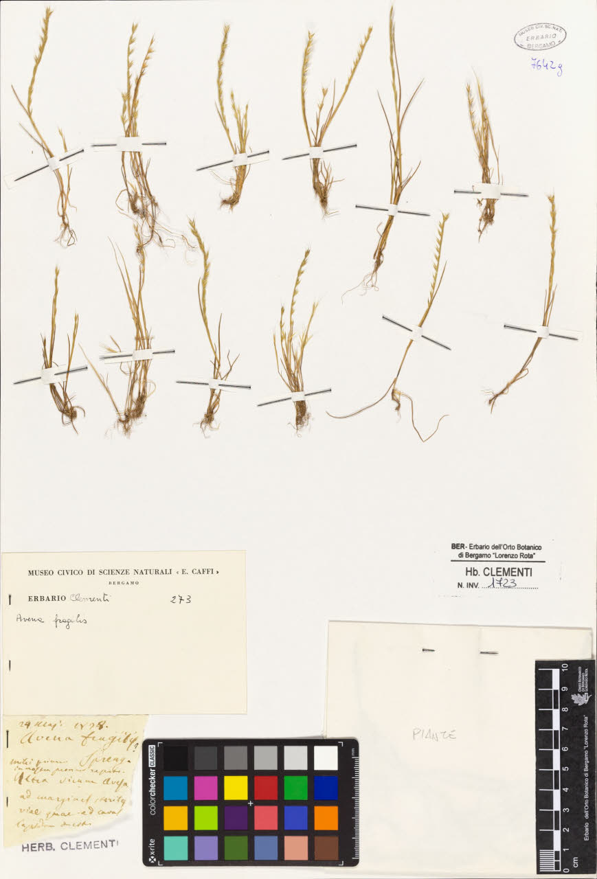 SW_BNB_s3010-01428_IMG-0000000001