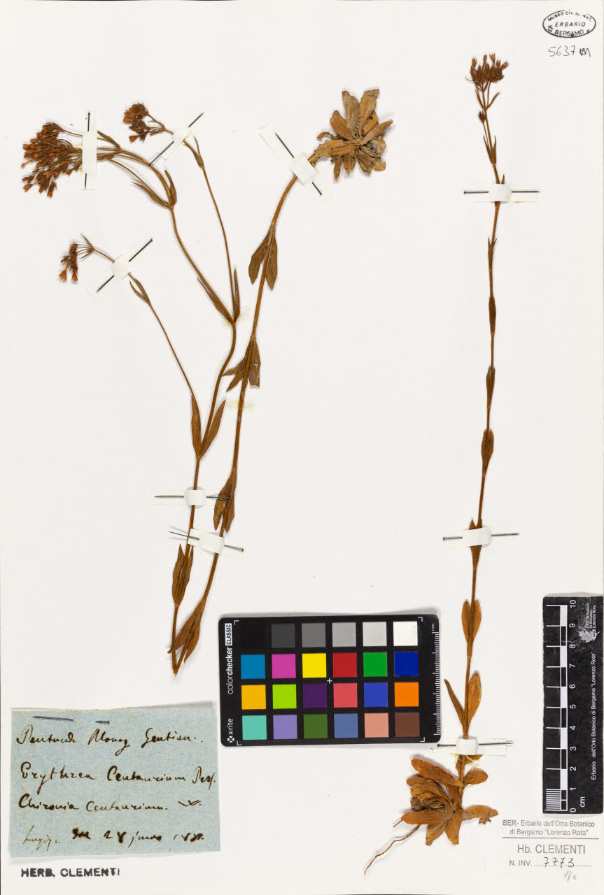 SW_BNB_s3010-01438_IMG-0000000001