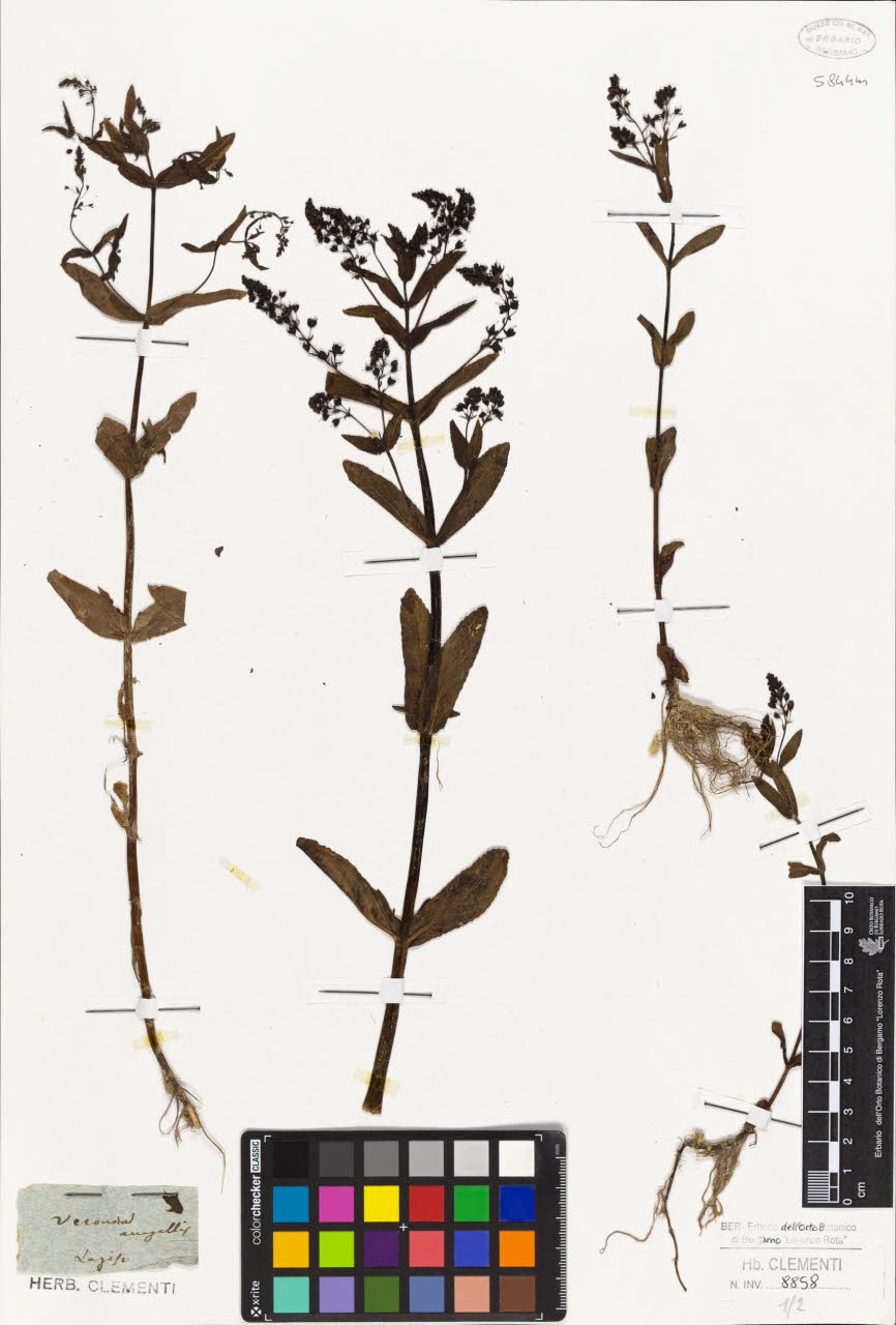 SW_BNB_s3010-01439_IMG-0000000001