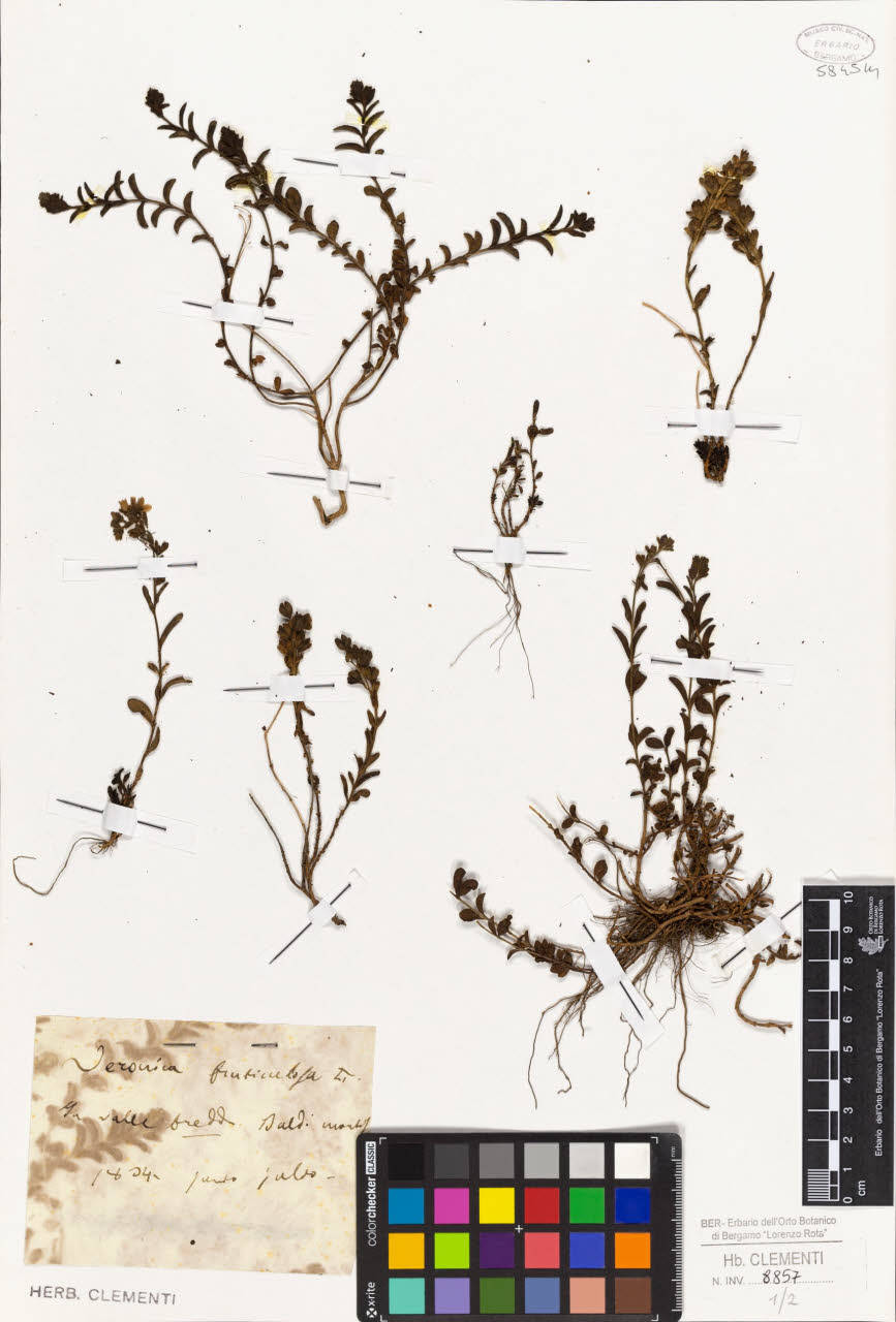 SW_BNB_s3010-01440_IMG-0000000001