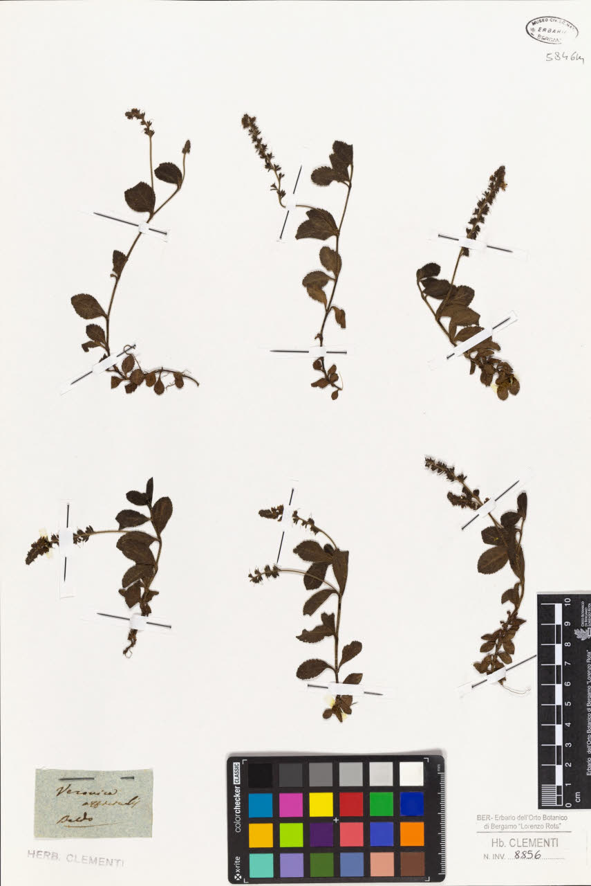 SW_BNB_s3010-01441_IMG-0000000001