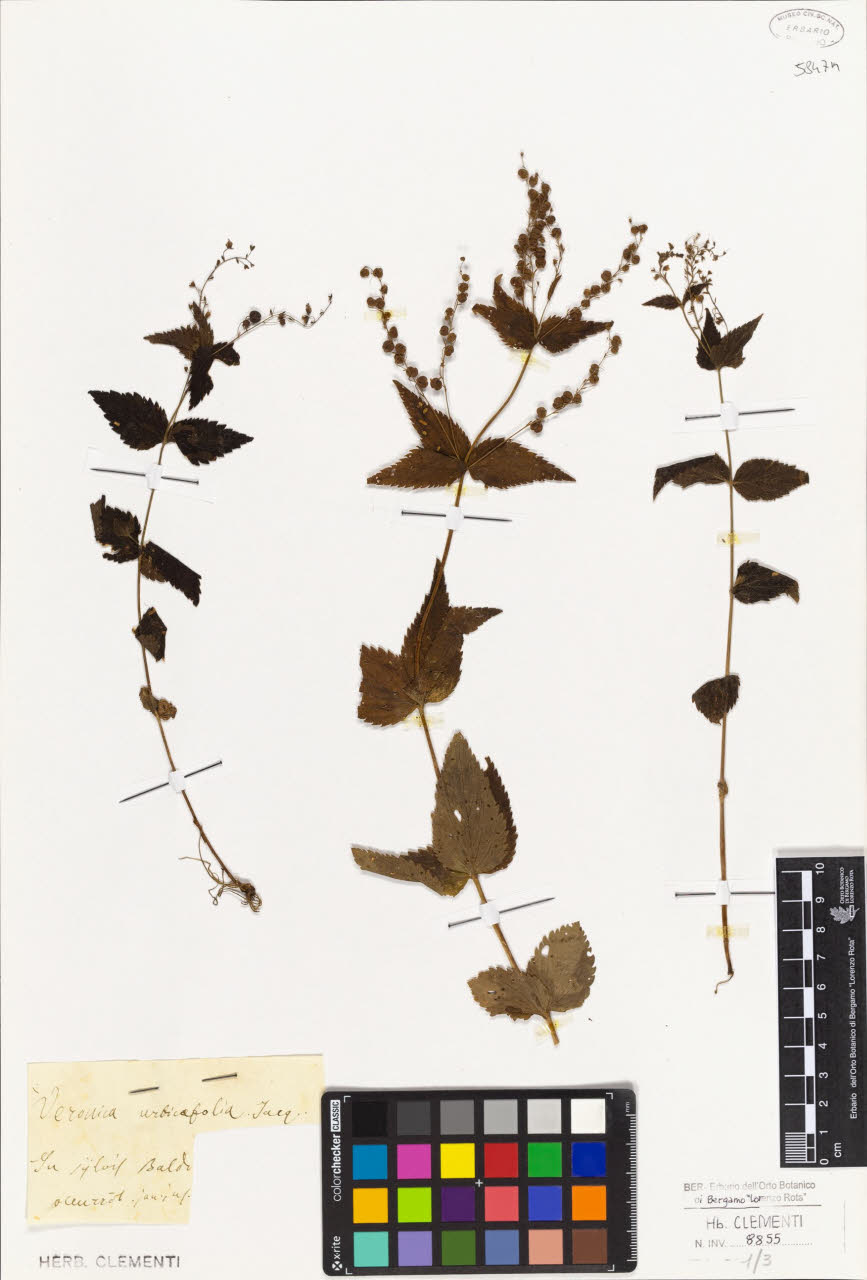 SW_BNB_s3010-01442_IMG-0000000001