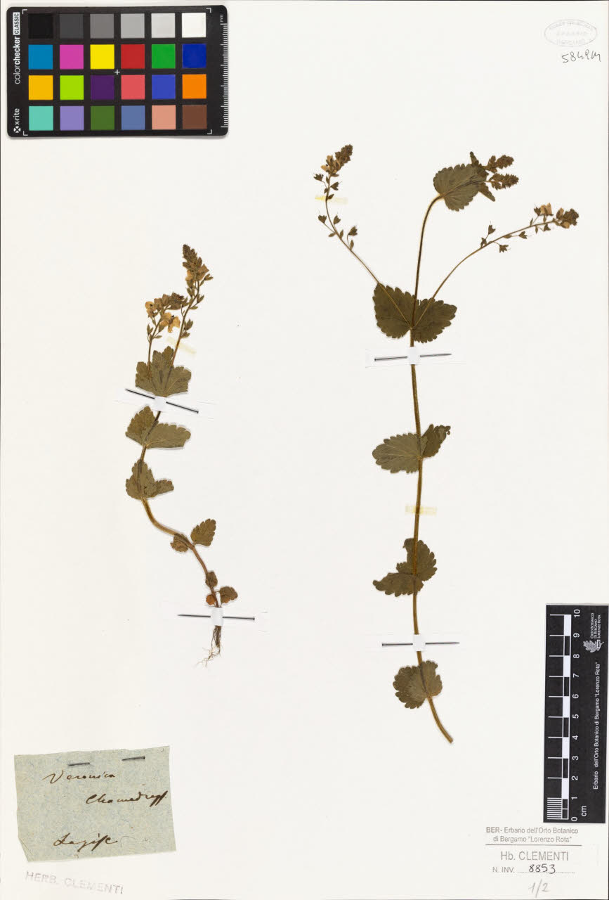 SW_BNB_s3010-01443_IMG-0000000001