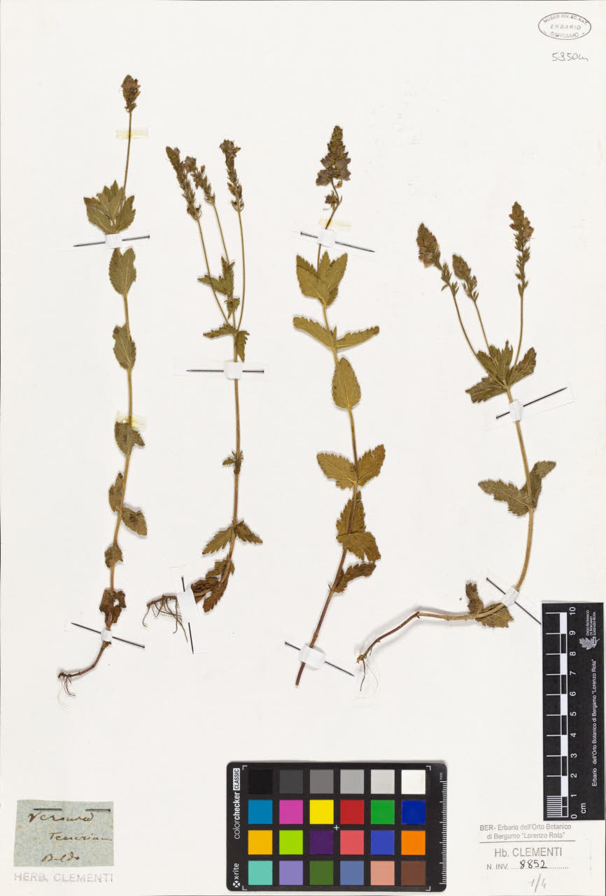 SW_BNB_s3010-01444_IMG-0000000001