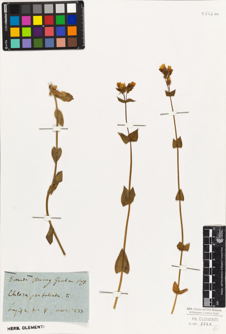 SW_BNB_s3010-01445_IMG-0000000001