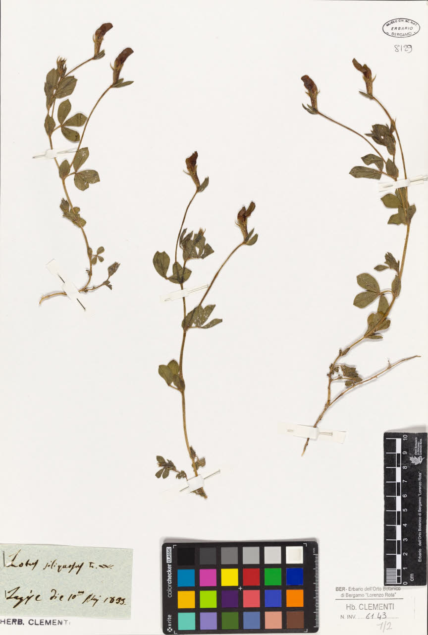 SW_BNB_s3010-01446_IMG-0000000001