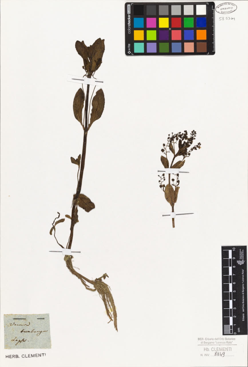 SW_BNB_s3010-01447_IMG-0000000001