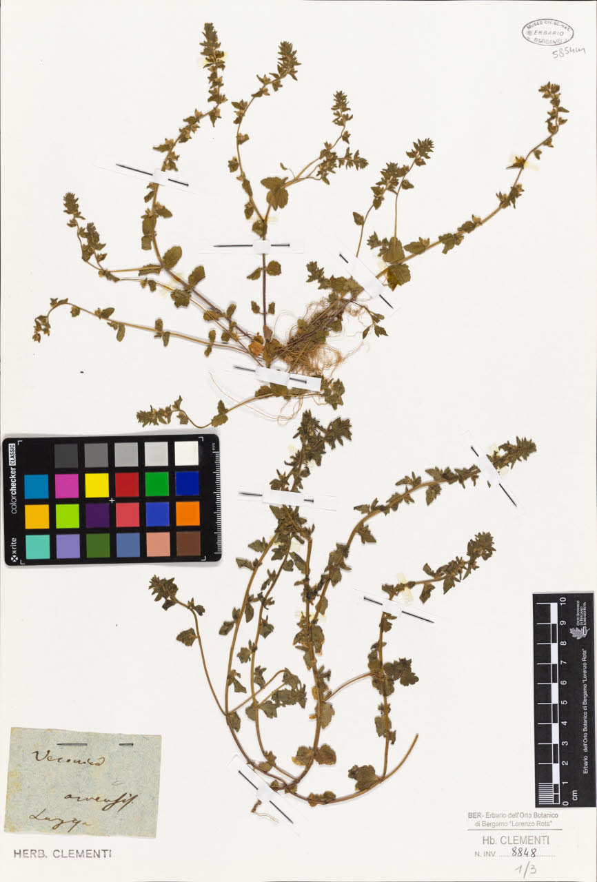 SW_BNB_s3010-01448_IMG-0000000001