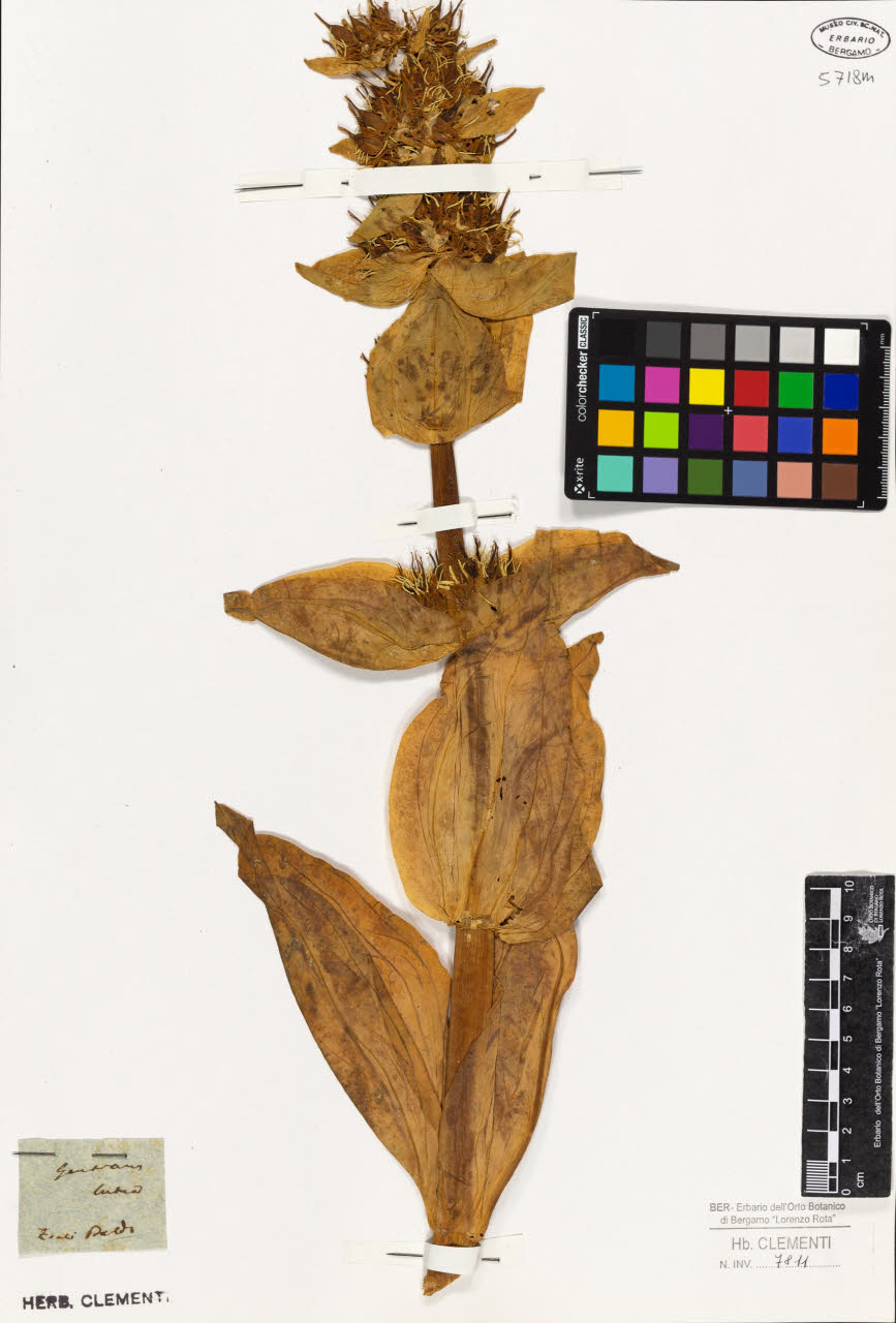 SW_BNB_s3010-01449_IMG-0000000001