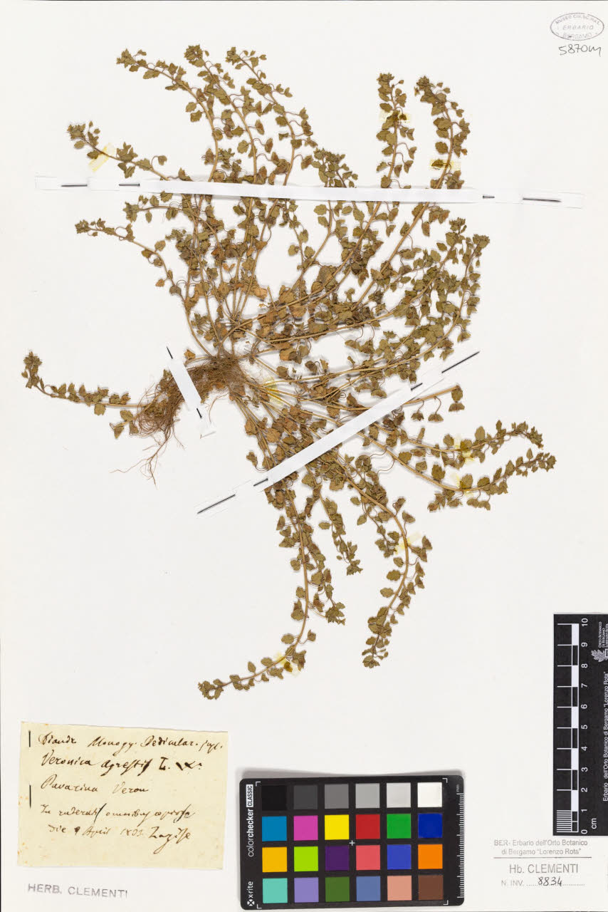 SW_BNB_s3010-01450_IMG-0000000001