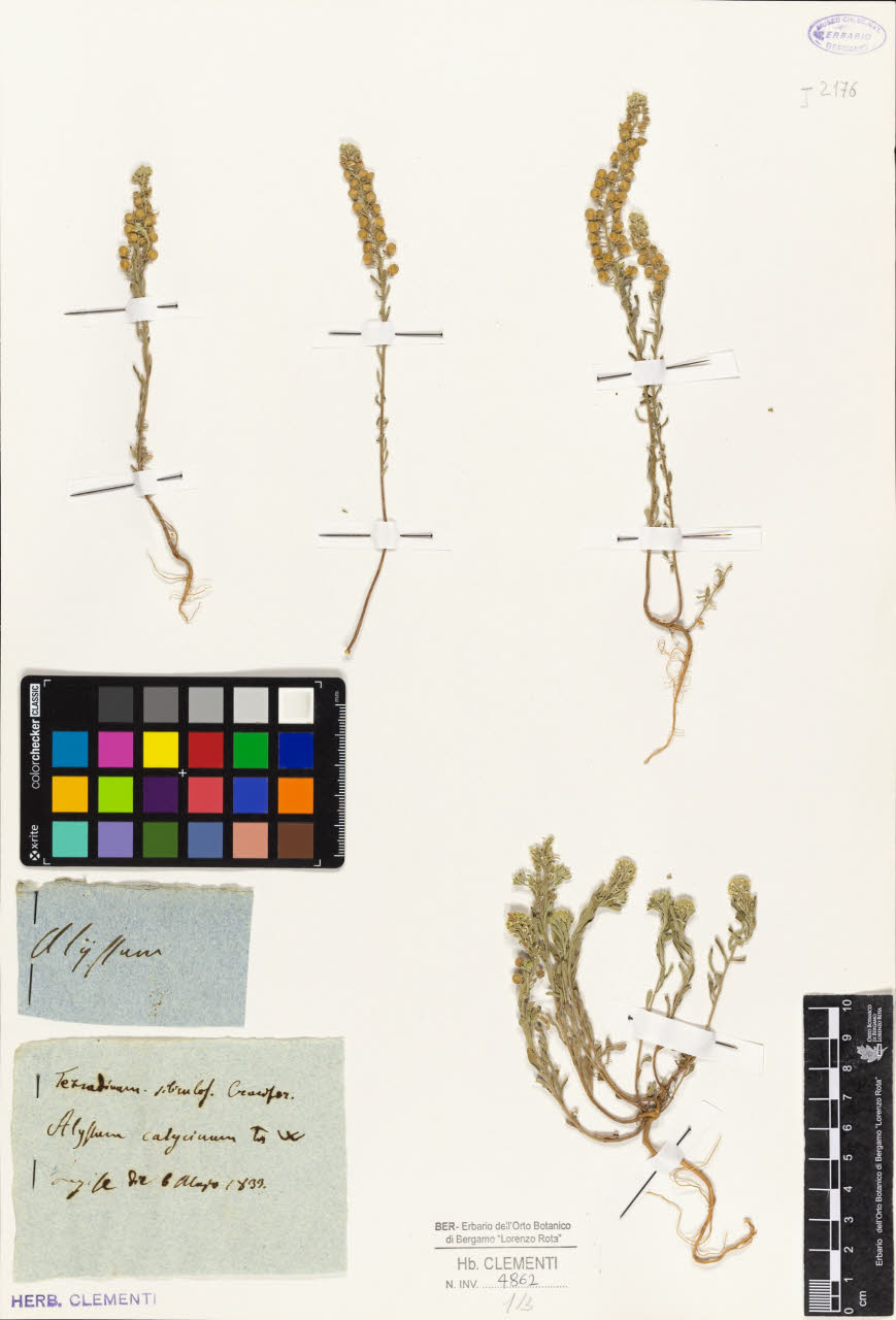 SW_BNB_s3010-01452_IMG-0000000001