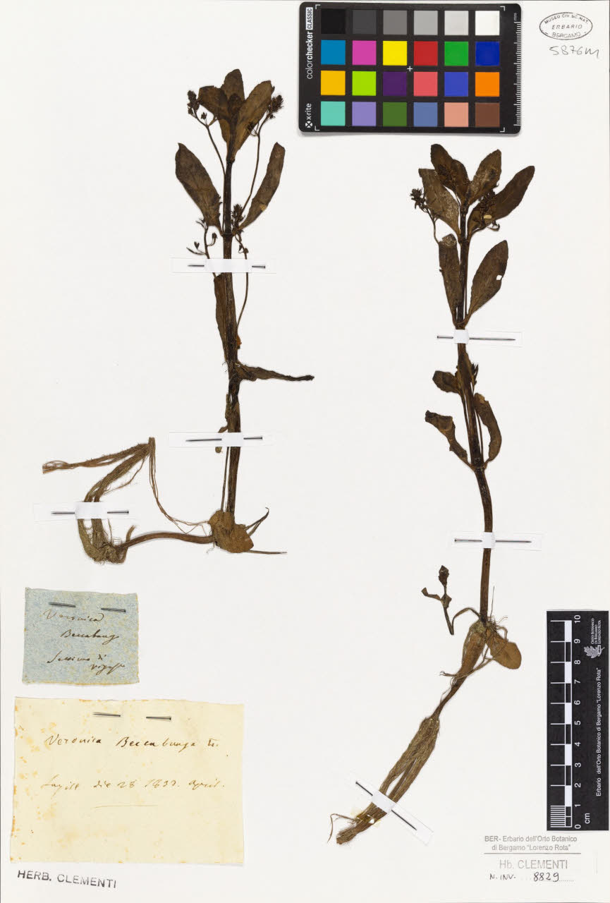 SW_BNB_s3010-01453_IMG-0000000001