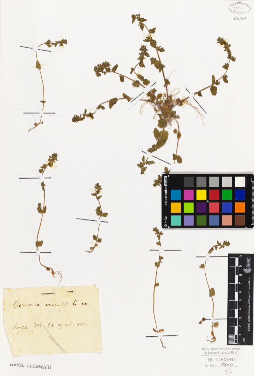 SW_BNB_s3010-01454_IMG-0000000001