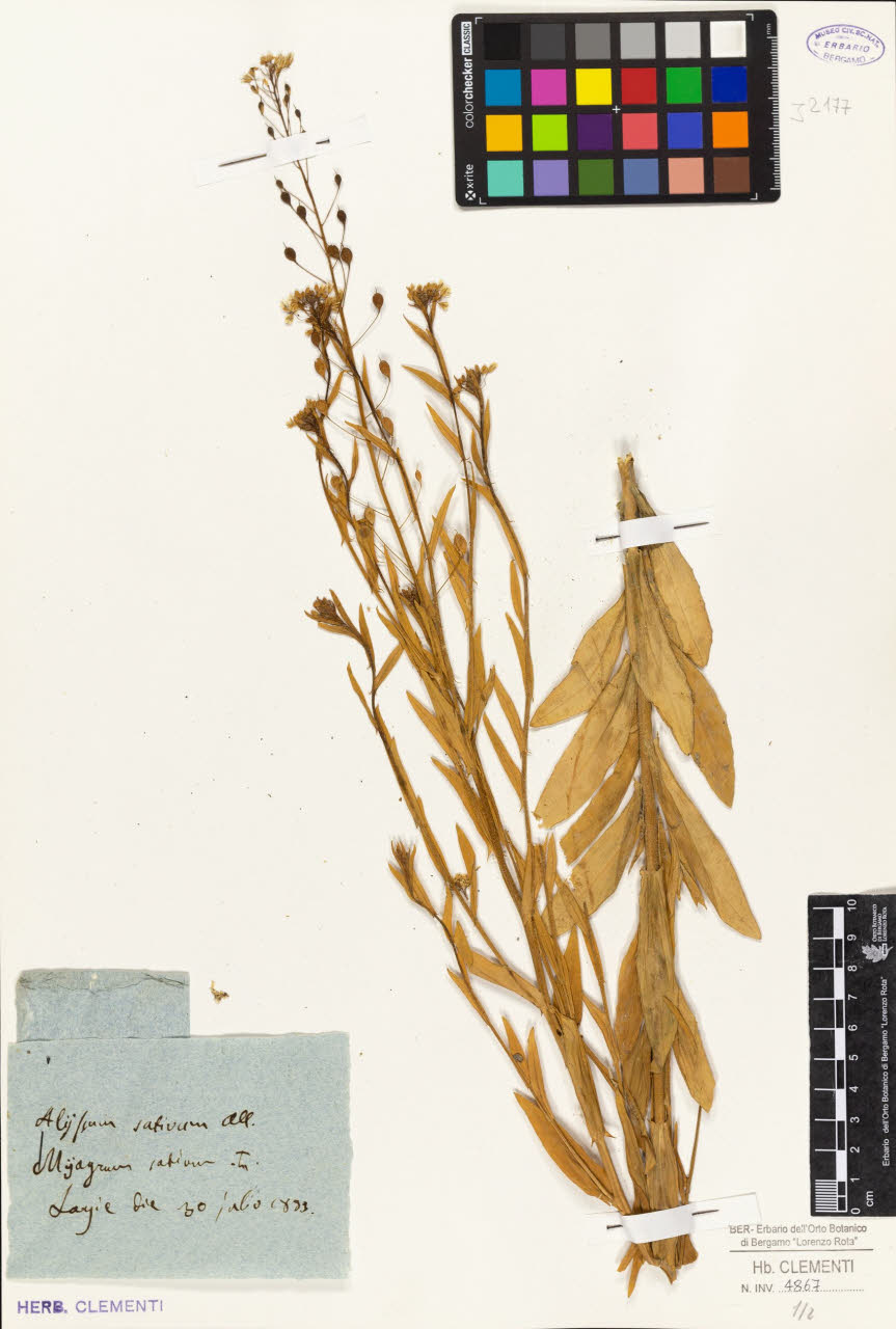 SW_BNB_s3010-01455_IMG-0000000001