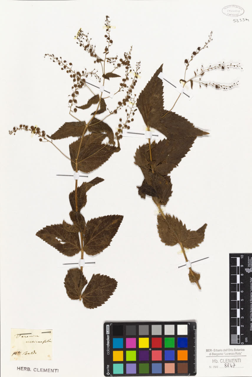 SW_BNB_s3010-01456_IMG-0000000001