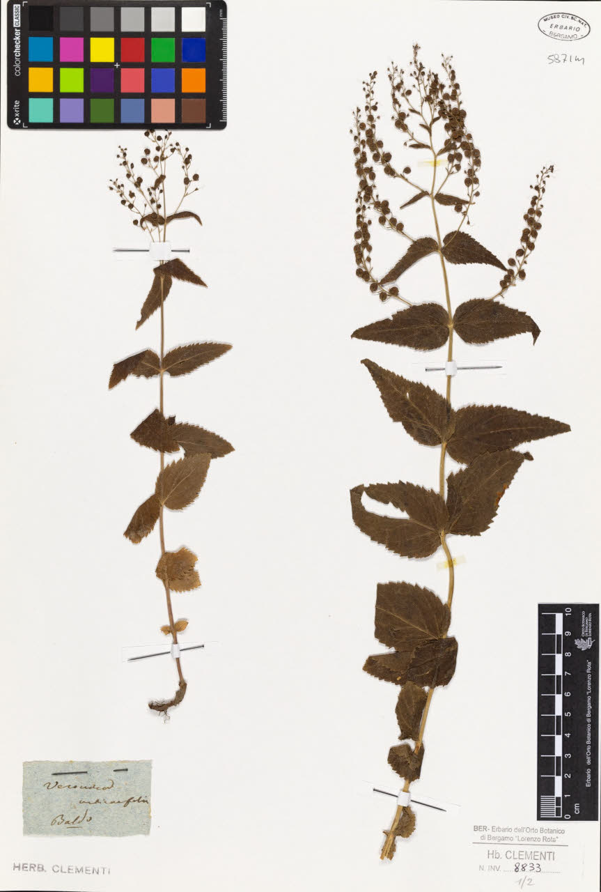 SW_BNB_s3010-01457_IMG-0000000001