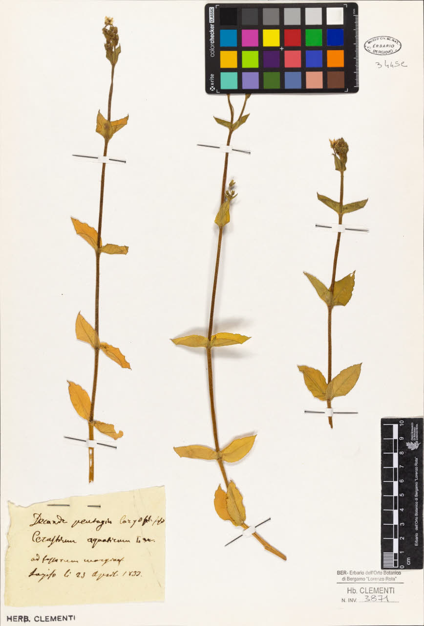 SW_BNB_s3010-01458_IMG-0000000001