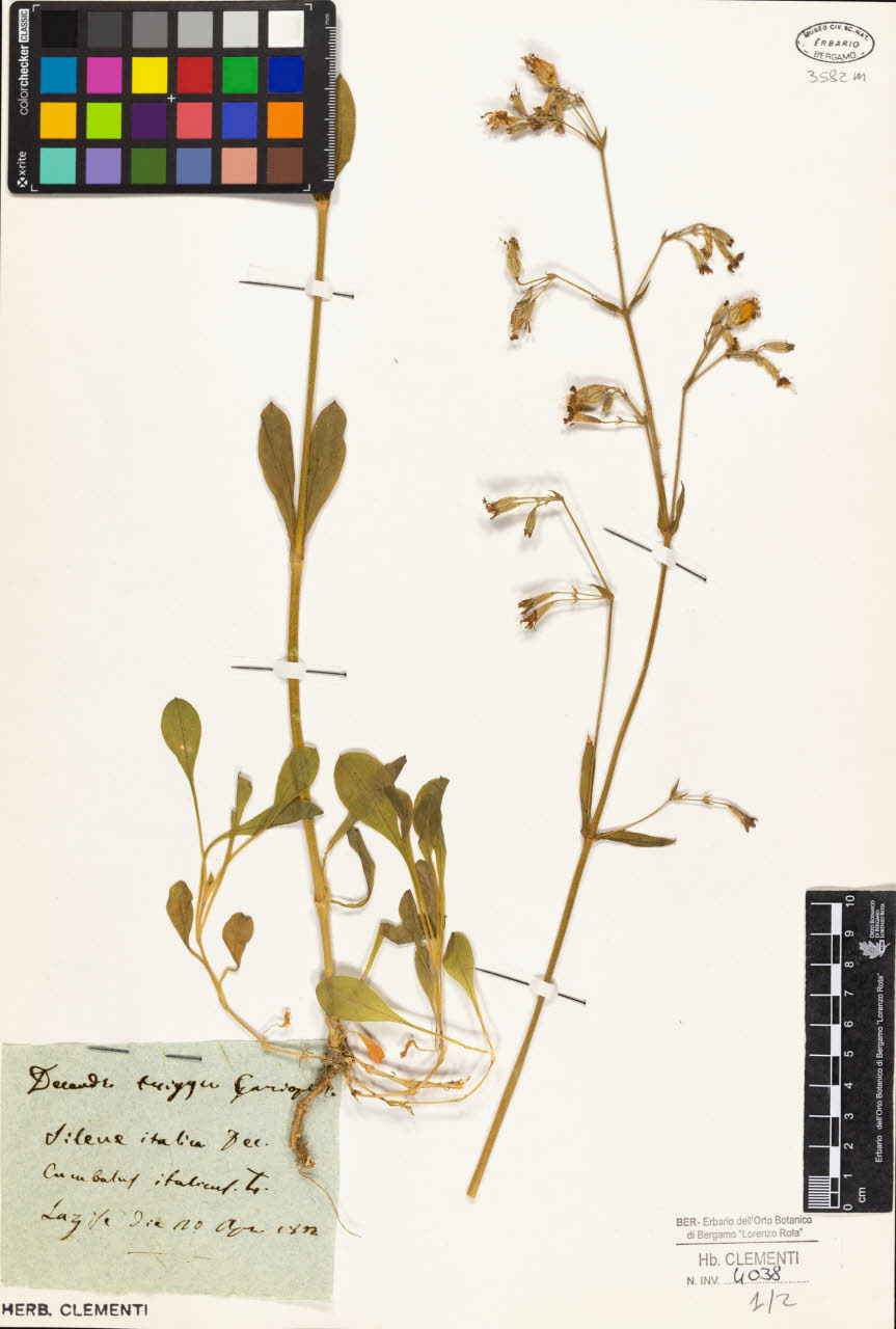 SW_BNB_s3010-01615_IMG-0000000001