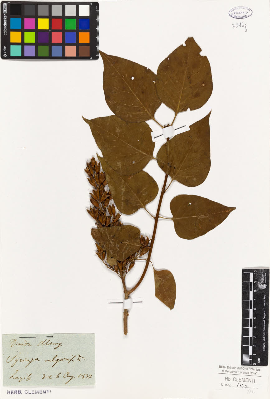 SW_BNB_s3010-01616_IMG-0000000001