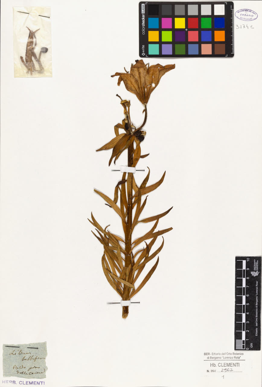 SW_BNB_s3010-01617_IMG-0000000001