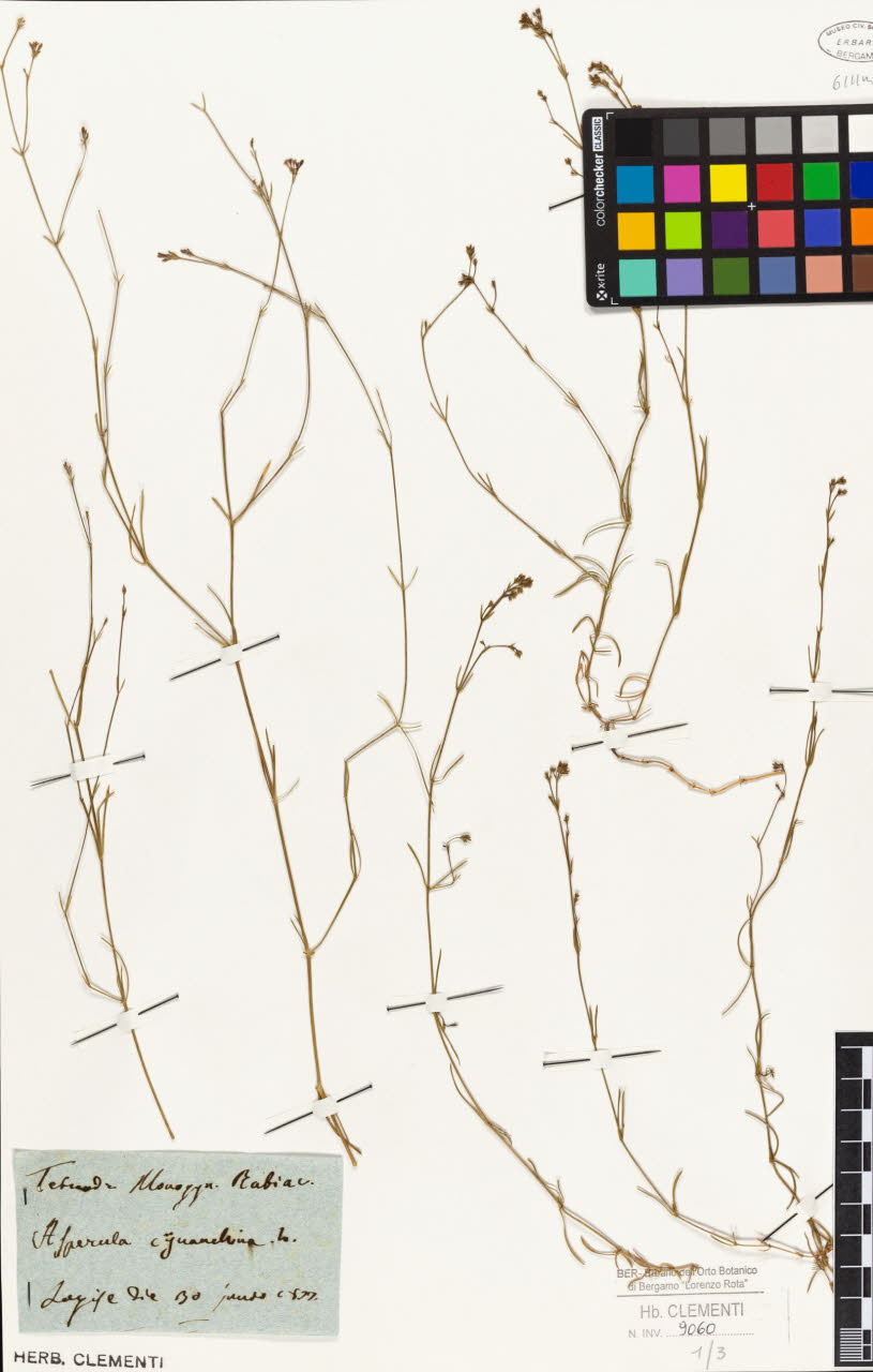 SW_BNB_s3010-01618_IMG-0000000001