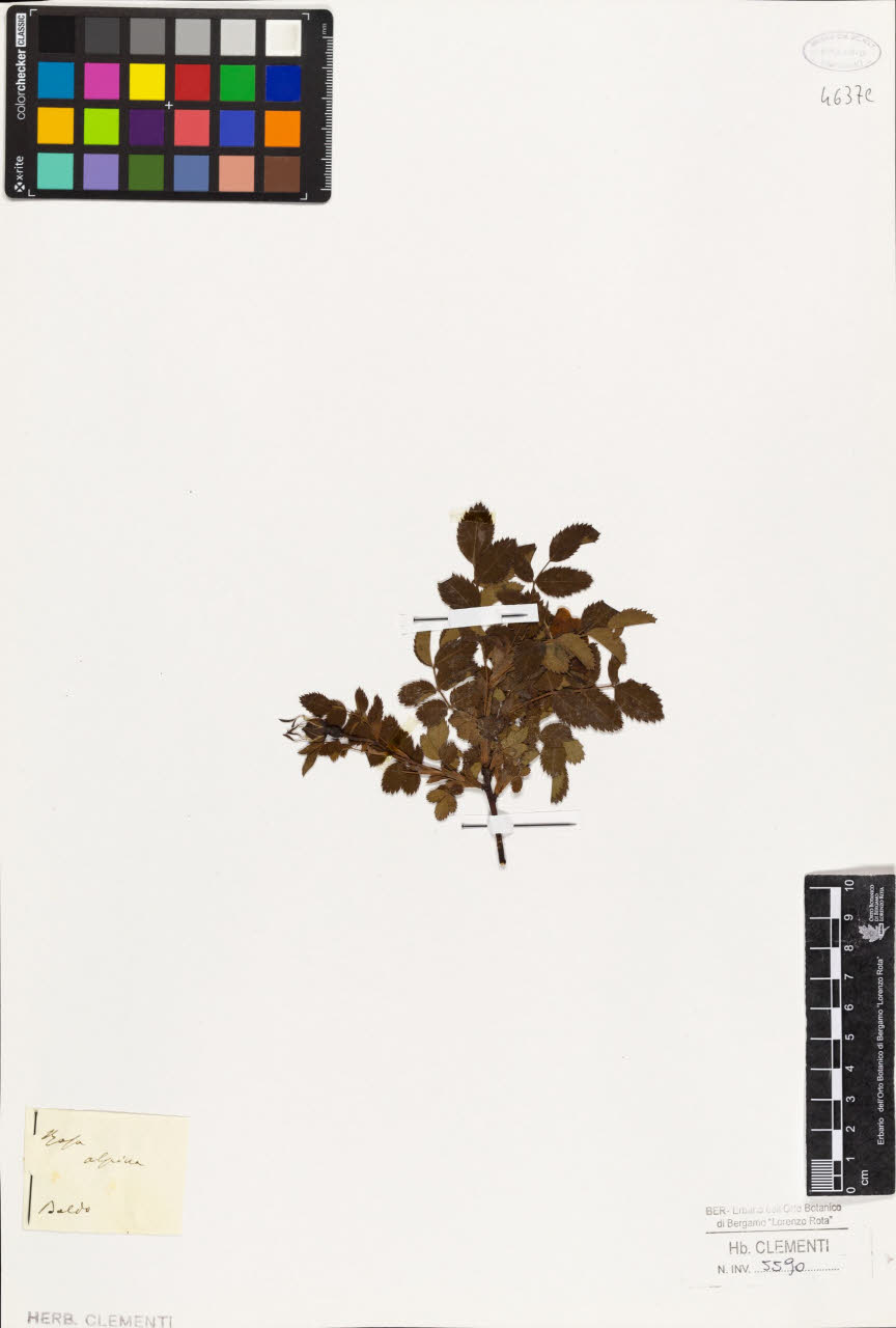 SW_BNB_s3010-01619_IMG-0000000001