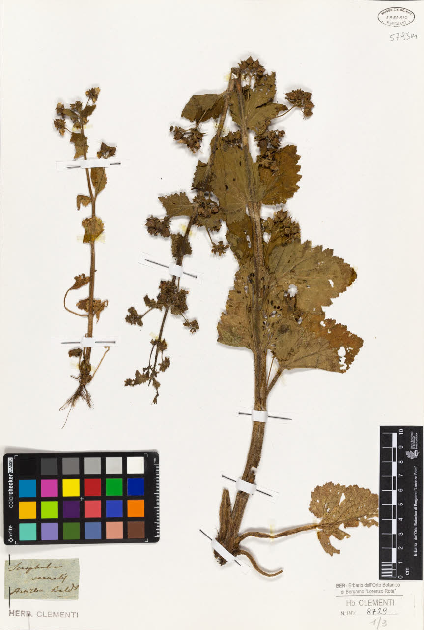 SW_BNB_s3010-01620_IMG-0000000001