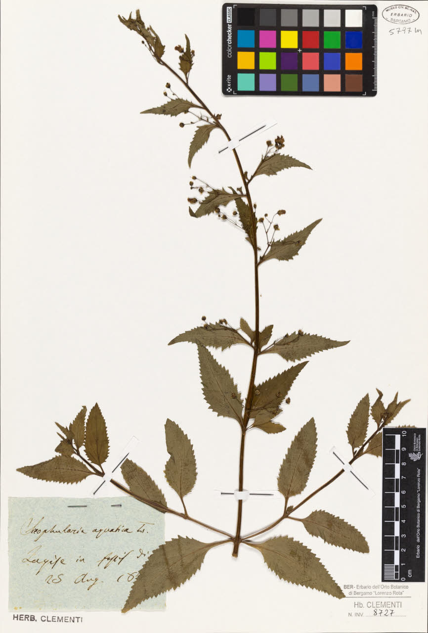 SW_BNB_s3010-01621_IMG-0000000001