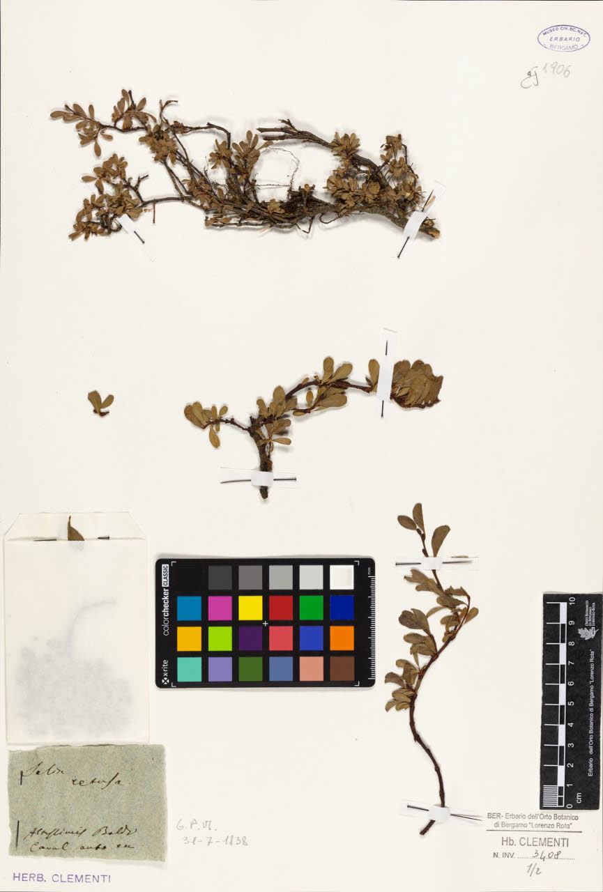 SW_BNB_s3010-01622_IMG-0000000001