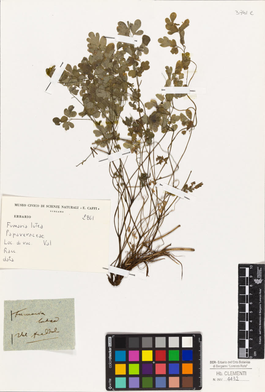 SW_BNB_s3010-01623_IMG-0000000001