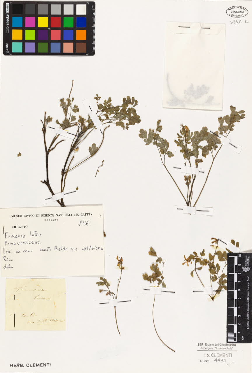 SW_BNB_s3010-01624_IMG-0000000001