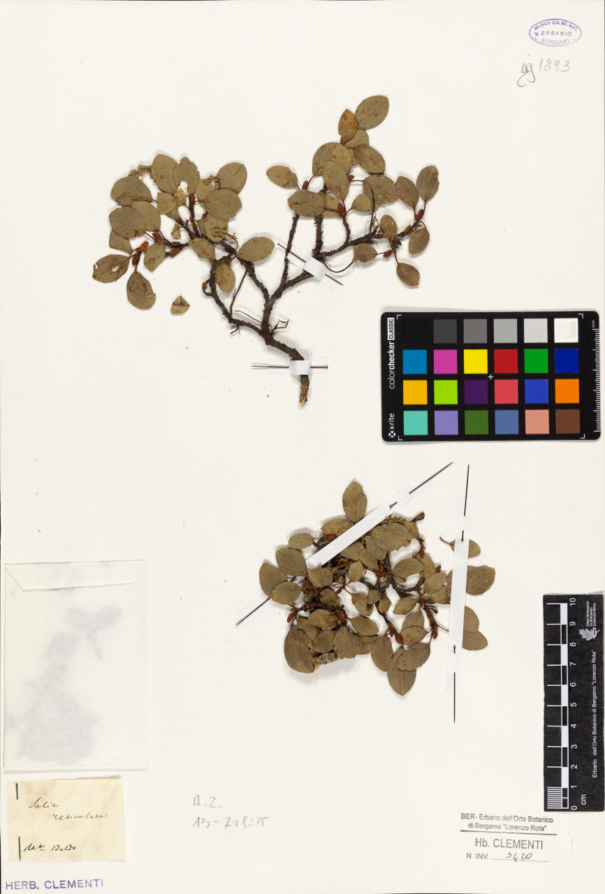 SW_BNB_s3010-01625_IMG-0000000001