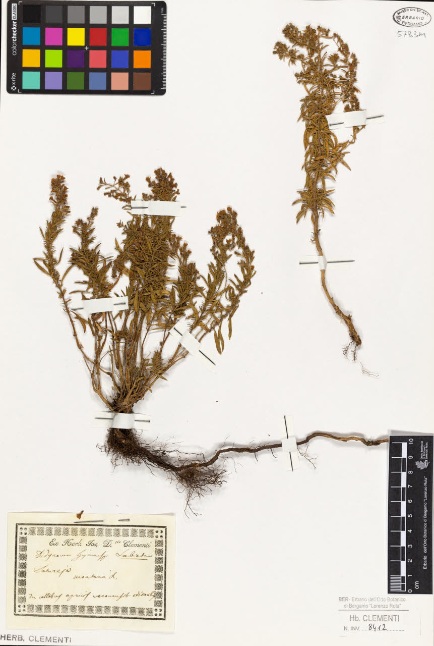 SW_BNB_s3010-01626_IMG-0000000001