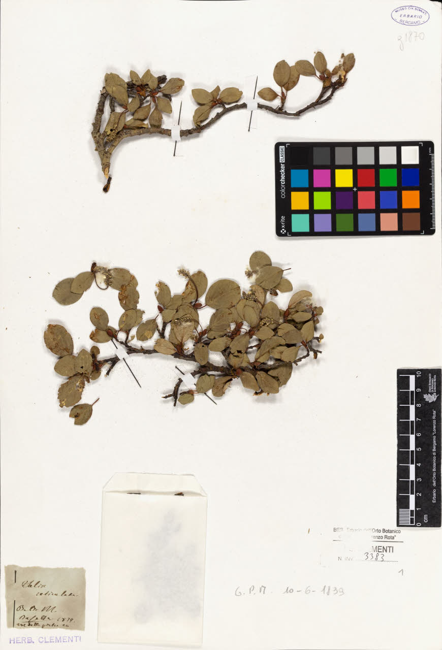 SW_BNB_s3010-01627_IMG-0000000001