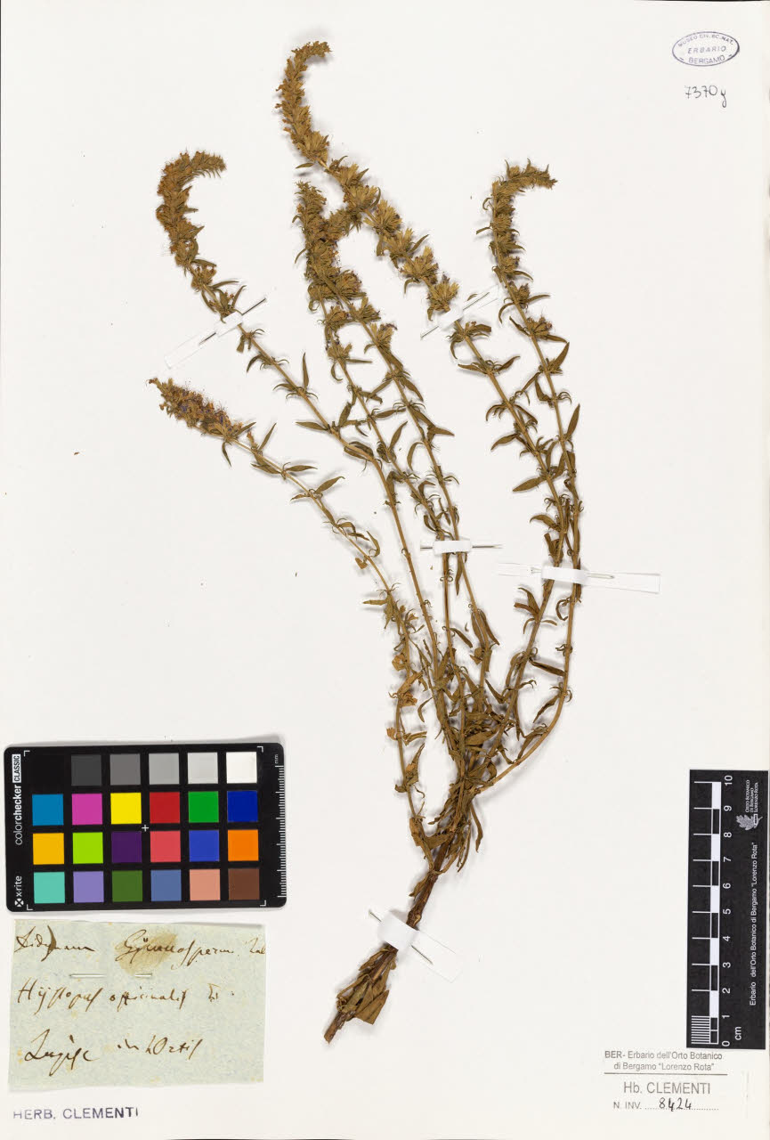 SW_BNB_s3010-01628_IMG-0000000001