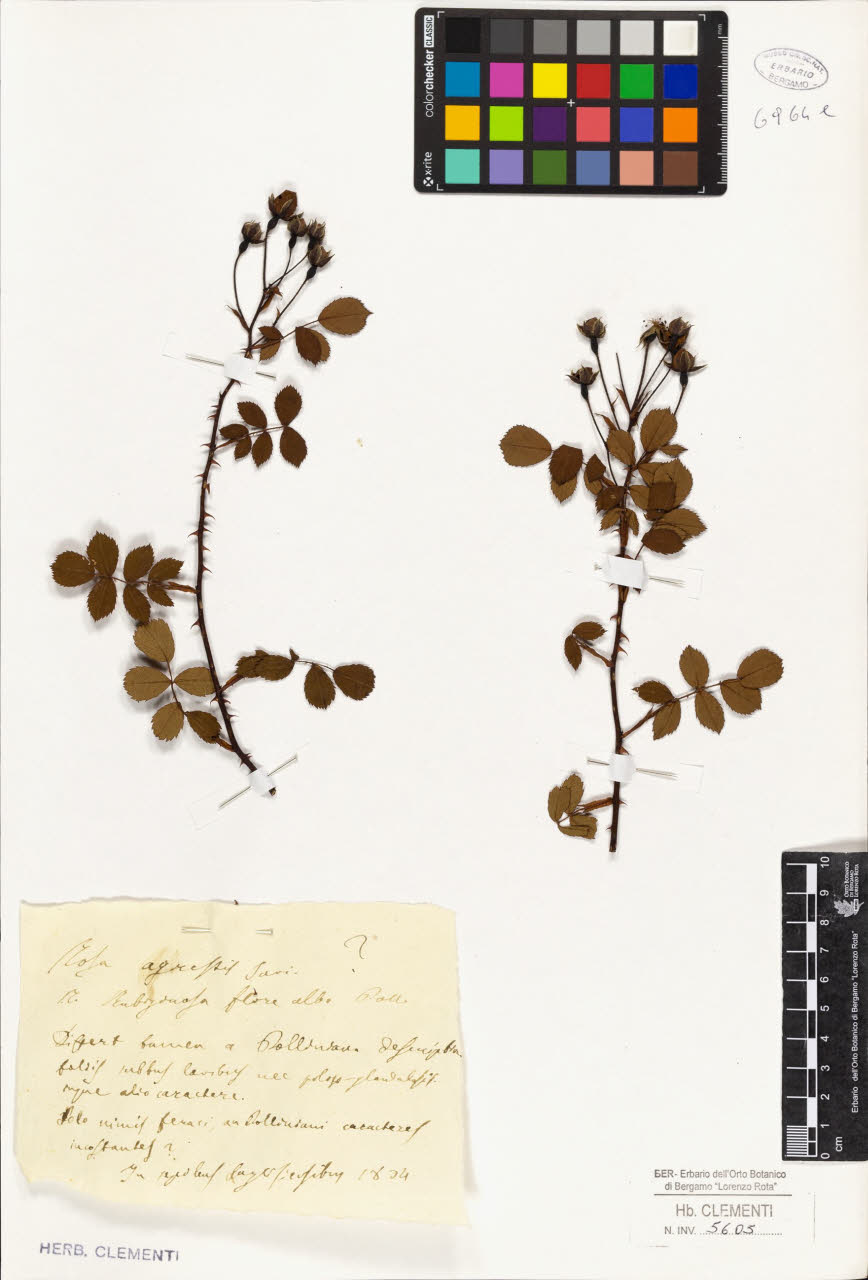 SW_BNB_s3010-01642_IMG-0000000001