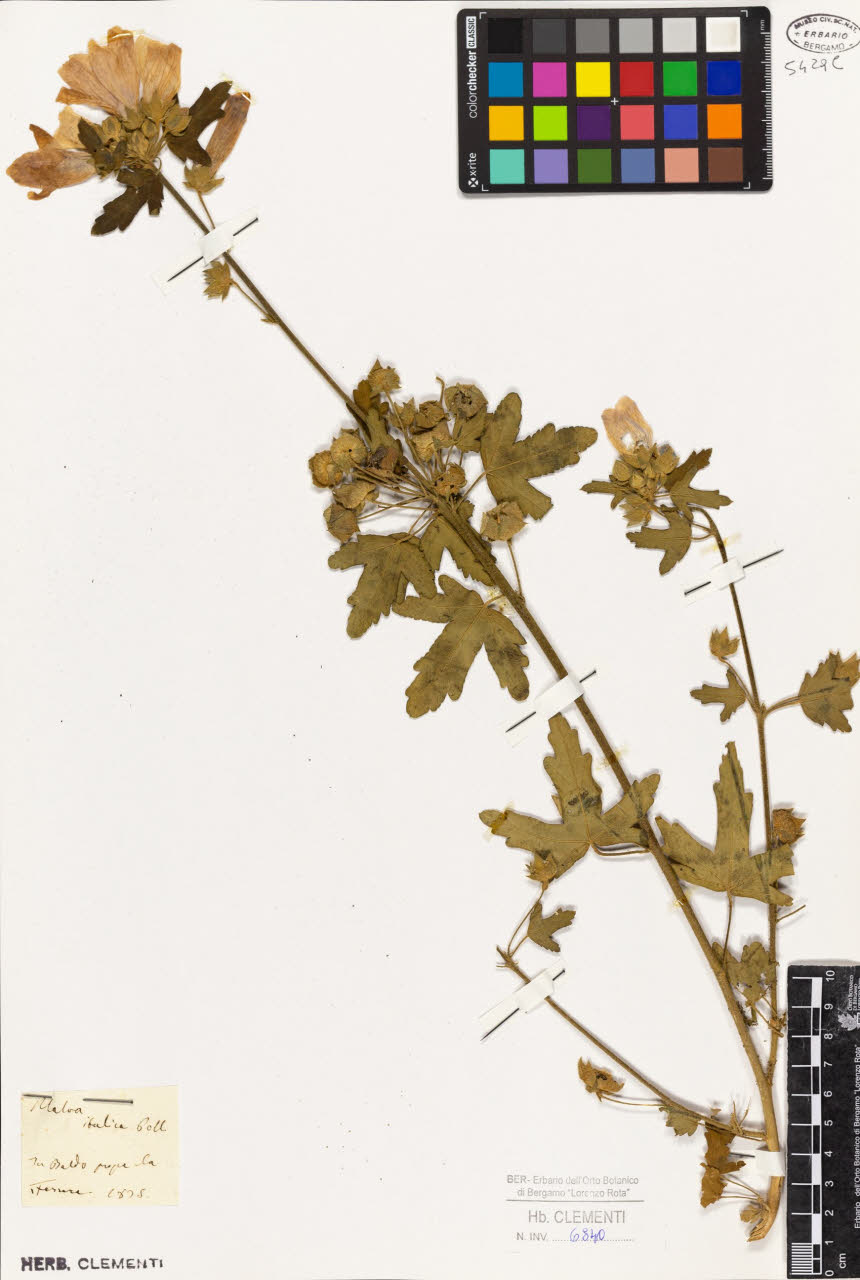 SW_BNB_s3010-01962_IMG-0000000001