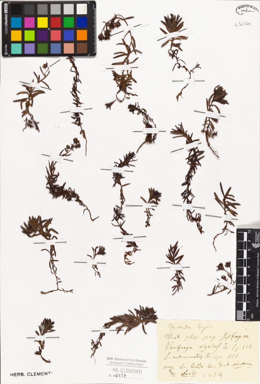 SW_BNB_s3010-01978_IMG-0000000001