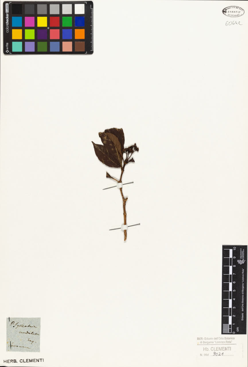 SW_BNB_s3010-02209_IMG-0000000001