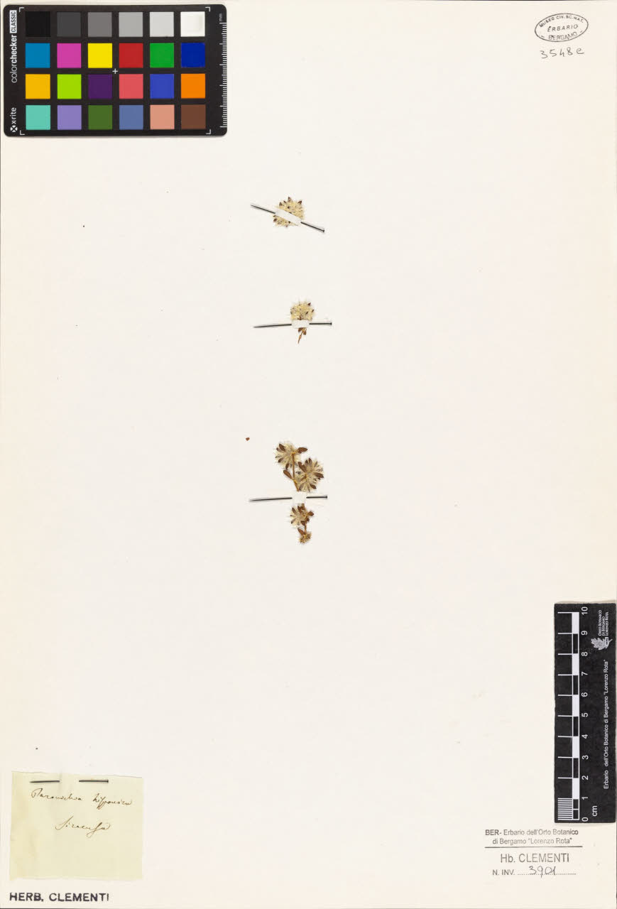 SW_BNB_s3010-02210_IMG-0000000001