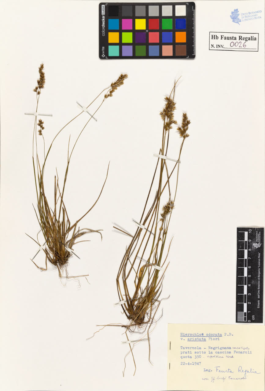 SW_BNB_s3020-00027_IMG-0000000001