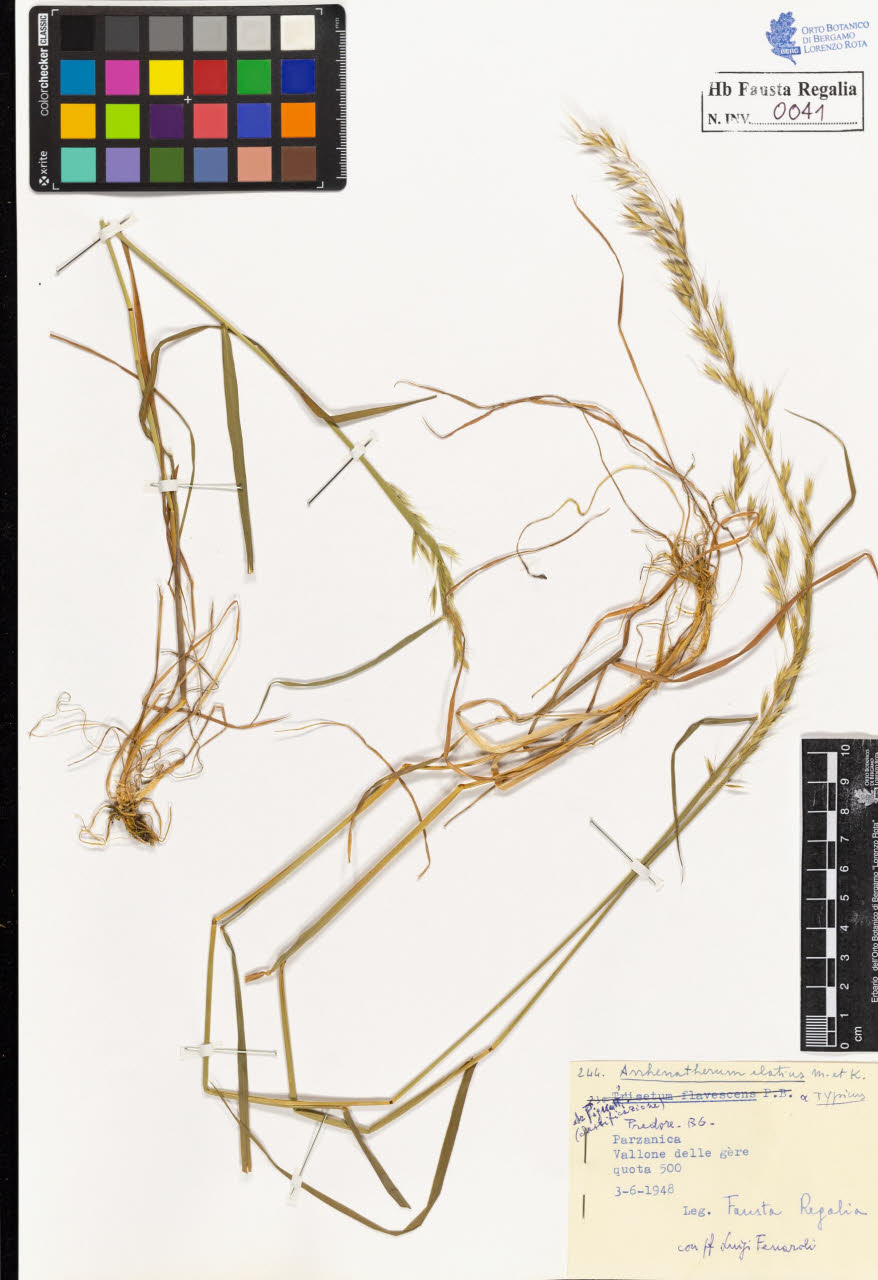 SW_BNB_s3020-00042_IMG-0000000001