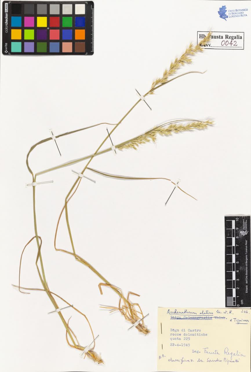 SW_BNB_s3020-00043_IMG-0000000001