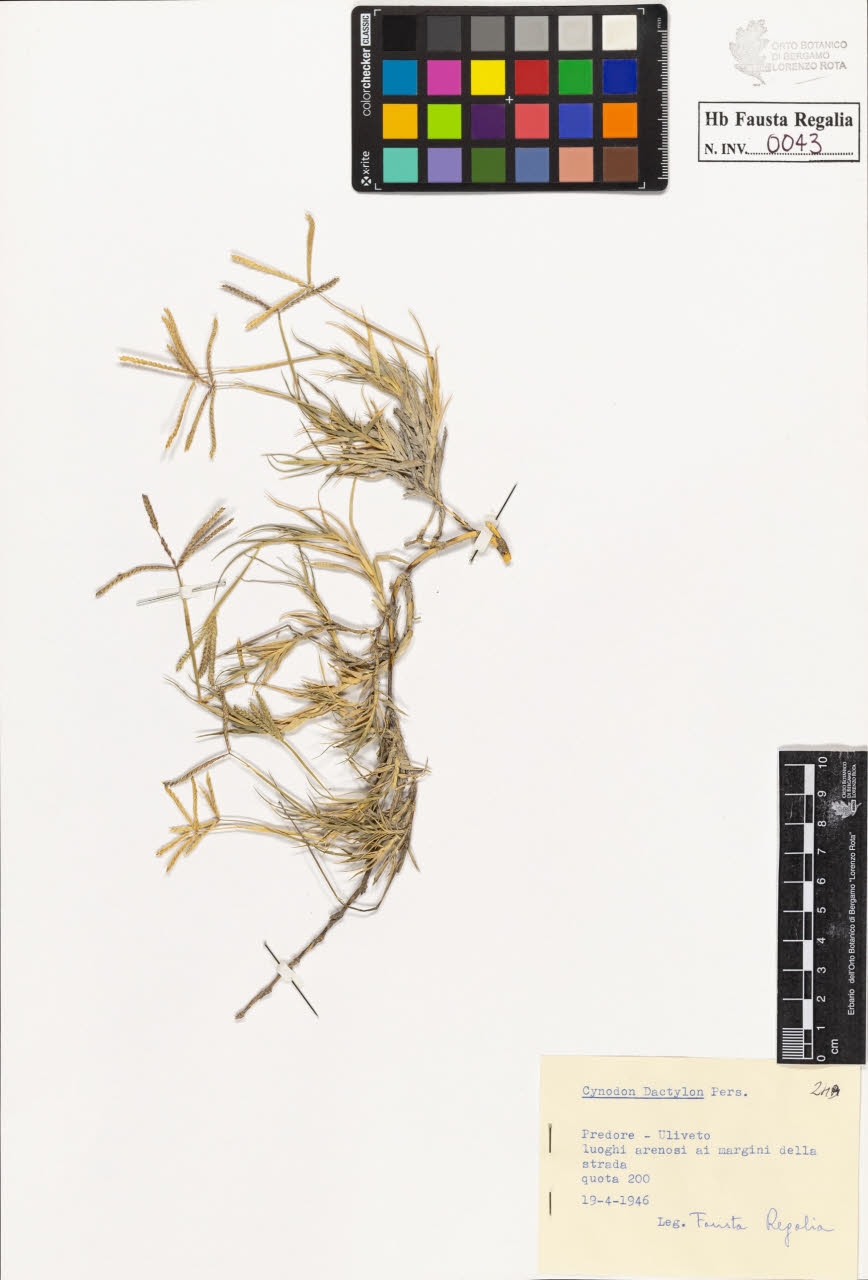 SW_BNB_s3020-00044_IMG-0000000001