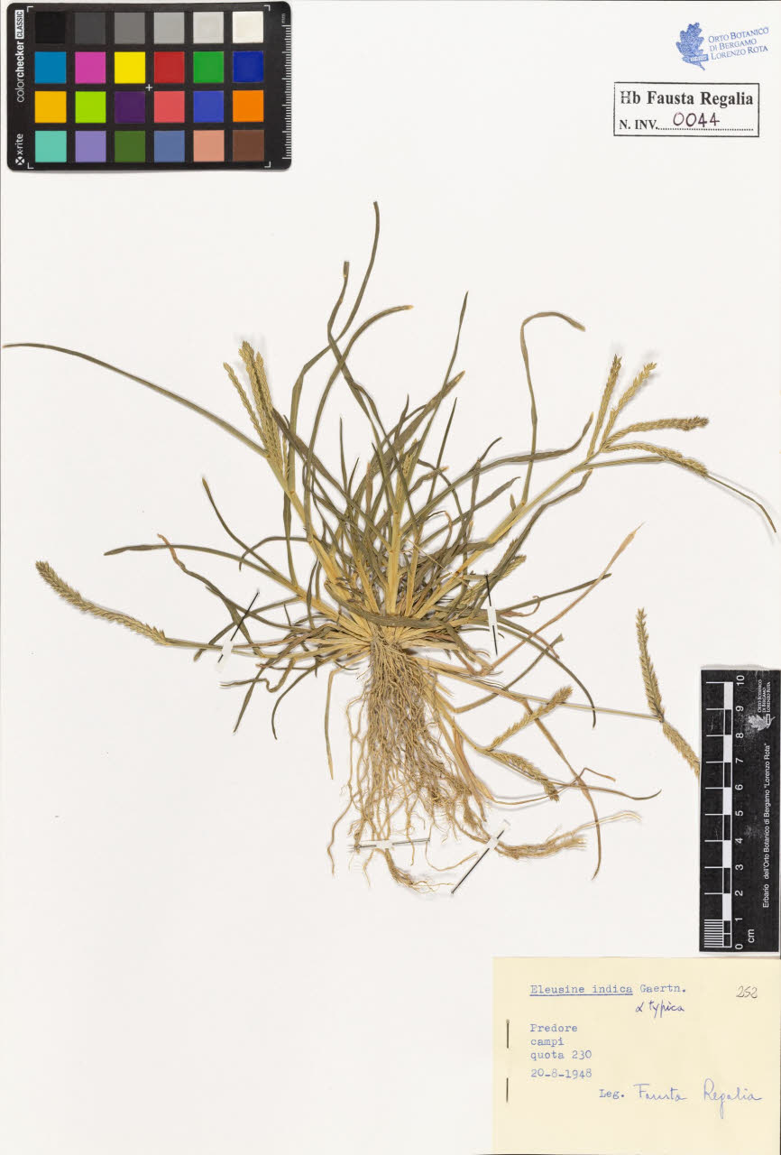 SW_BNB_s3020-00045_IMG-0000000001