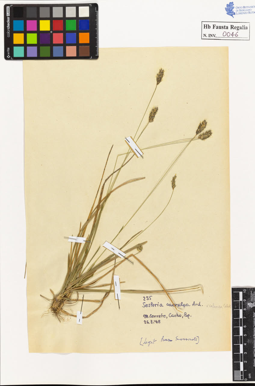 SW_BNB_s3020-00047_IMG-0000000001