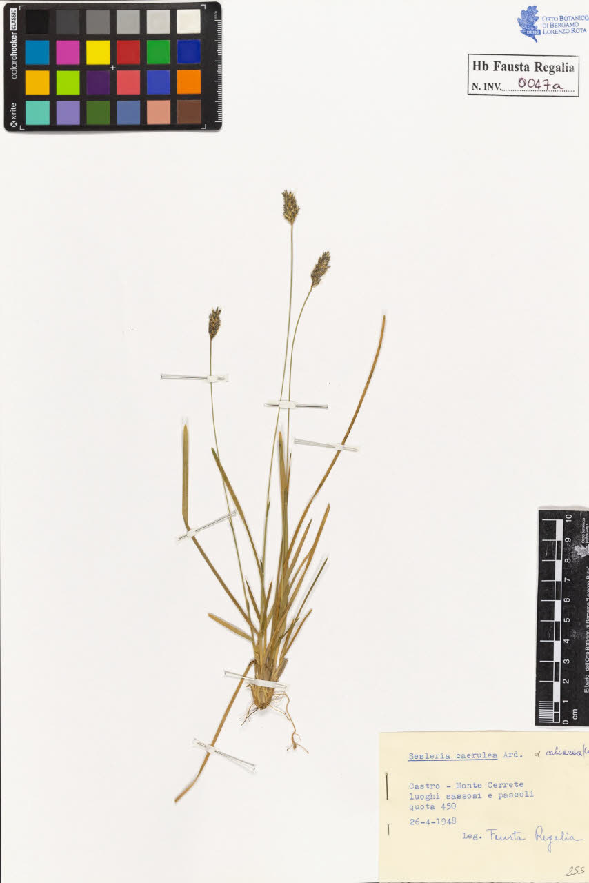 SW_BNB_s3020-00048_IMG-0000000001