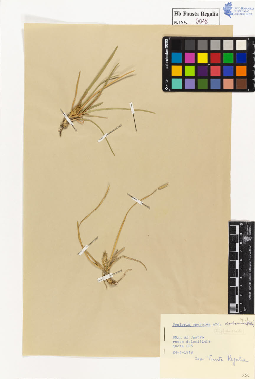 SW_BNB_s3020-00049_IMG-0000000001