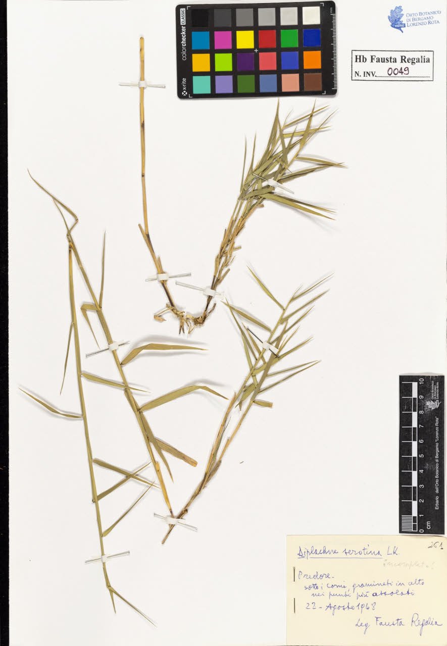 SW_BNB_s3020-00050_IMG-0000000001